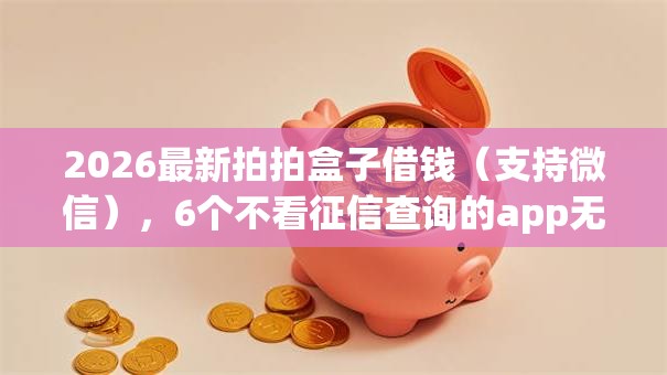 2026最新拍拍盒子借钱（支持微信），6个不看征信查询的app无私分享