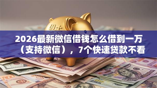 2026最新微信借钱怎么借到一万（支持微信），7个快速贷款不看征信的平台无私分享