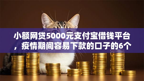 小额网贷5000元支付宝借钱平台，疫情期间容易下款的口子的6个平台介绍