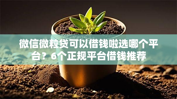 微信微粒贷可以借钱啦选哪个平台？6个正规平台借钱推荐