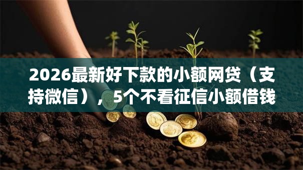 2026最新好下款的小额网贷(支持微信),5个不看征信小额借钱的app无私分享 2026最新好下款的小额网贷(支持微信),5个不看征信小额借钱的app无私分享