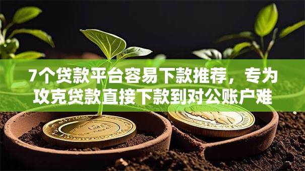 7个贷款平台容易下款推荐，专为攻克贷款直接下款到对公账户难题