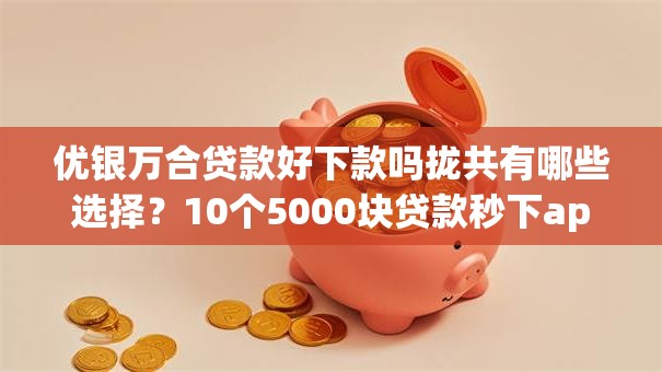 优银万合贷款好下款吗拢共有哪些选择？10个5000块贷款秒下app详解
