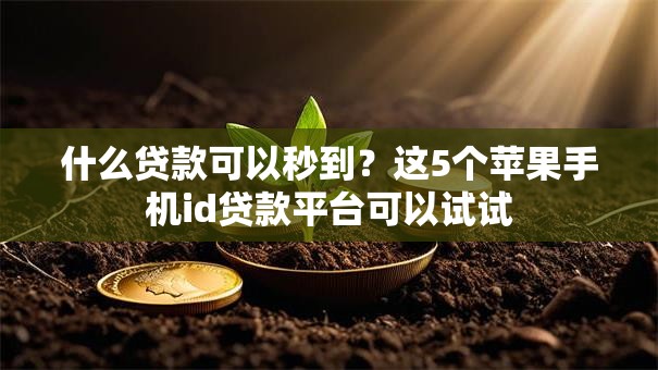 什么贷款可以秒到？这5个苹果手机id贷款平台可以试试