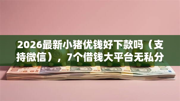 2026最新小猪优钱好下款吗（支持微信），7个借钱大平台无私分享