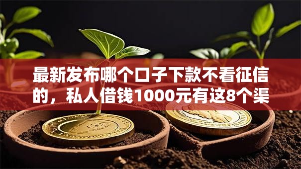 最新发布哪个口子下款不看征信的，私人借钱1000元有这8个渠道