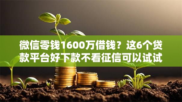 微信零钱1600万借钱？这6个贷款平台好下款不看征信可以试试