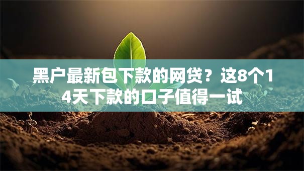 黑户最新包下款的网贷？这8个14天下款的口子值得一试