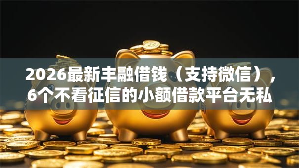2026最新丰融借钱(支持微信),6个不看征信的小额借款平台无私分享 2026最新丰融借钱(支持微信),6个不看征信的小额借款平台无私分享