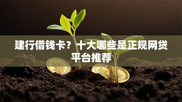 建行借钱卡？十大哪些是正规网贷平台推荐