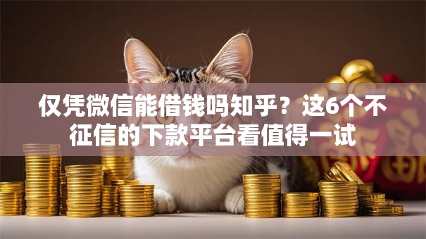 仅凭微信能借钱吗知乎？这6个不征信的下款平台看值得一试