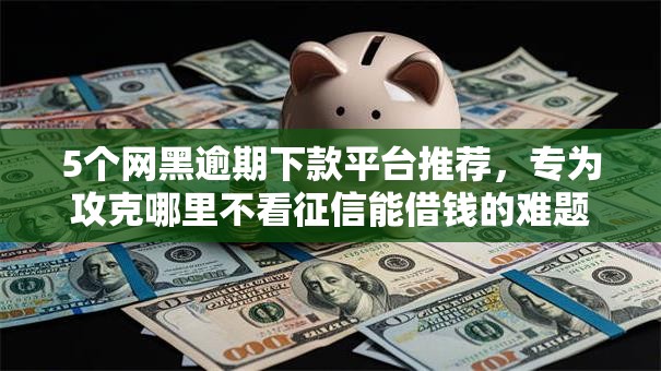 5个网黑逾期下款平台推荐，专为攻克哪里不看征信能借钱的难题