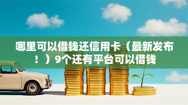 哪里可以借钱还信用卡（最新发布！）9个还有平台可以借钱