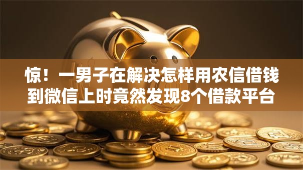 惊！一男子在解决怎样用农信借钱到微信上时竟然发现8个借款平台借钱额度高，事后分享了出来