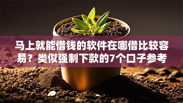 马上就能借钱的软件在哪借比较容易？类似强制下款的7个口子参考