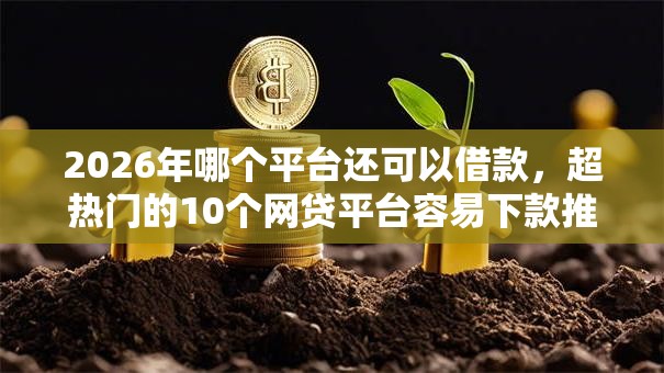 2026年哪个平台还可以借款，超热门的10个网贷平台容易下款推荐