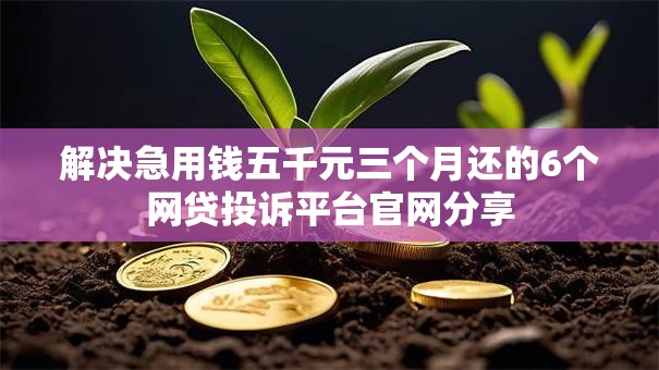 解决急用钱五千元三个月还的6个网贷投诉平台官网分享