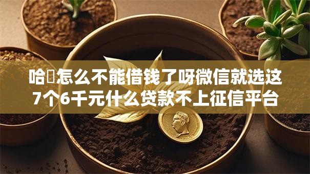哈啰怎么不能借钱了呀微信就选这7个6千元什么贷款不上征信平台 哈啰怎么不能借钱了呀微信就选这7个6千元什么贷款不上征信平台