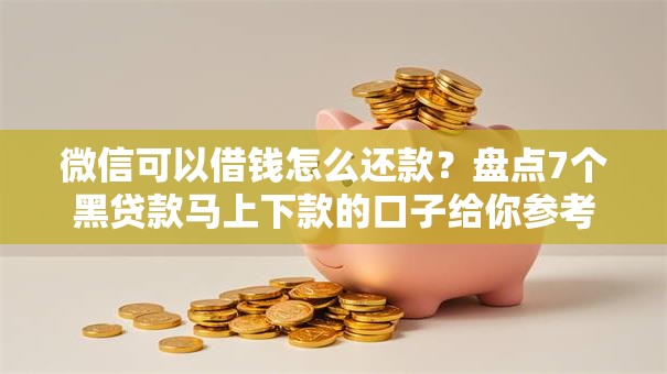 微信可以借钱怎么还款？盘点7个黑贷款马上下款的口子给你参考