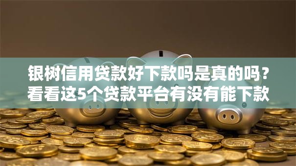 银树信用贷款好下款吗是真的吗？看看这5个贷款平台有没有能下款的