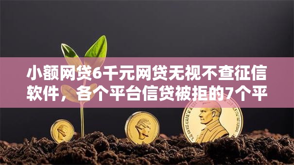 小额网贷6千元网贷无视不查征信软件，各个平台信贷被拒的7个平台介绍