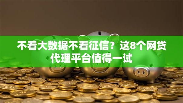 不看大数据不看征信？这8个网贷代理平台值得一试