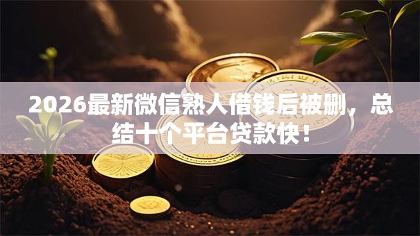 2026最新微信熟人借钱后被删，总结十个平台贷款快！
