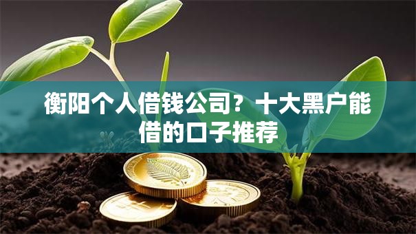 衡阳个人借钱公司？十大黑户能借的口子推荐
