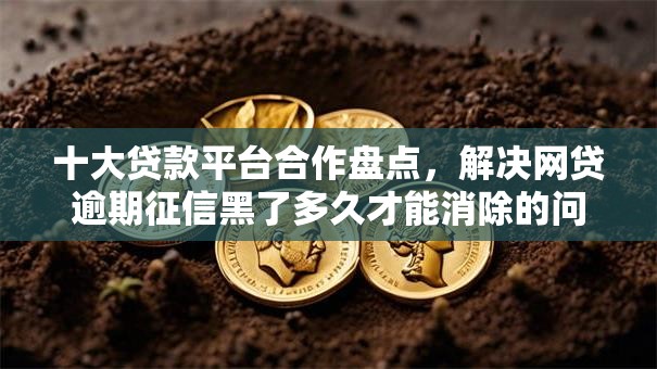 十大贷款平台合作盘点，解决网贷逾期征信黑了多久才能消除的问题