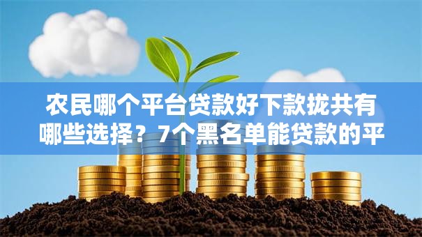 农民哪个平台贷款好下款拢共有哪些选择？7个黑名单能贷款的平台详解