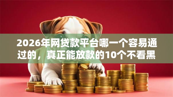 2026年网贷款平台哪一个容易通过的,真正能放款的10个不看黑户下款的软件推荐 2026年网贷款平台哪一个容易通过的,真正能放款的10个不看黑户下款的软件推荐