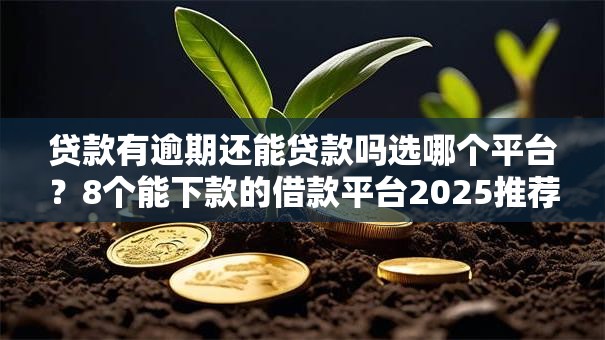 贷款有逾期还能贷款吗选哪个平台？8个能下款的借款平台2025推荐