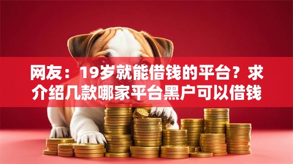 网友：19岁就能借钱的平台？求介绍几款哪家平台黑户可以借钱