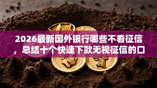 2026最新国外银行哪些不看征信,总结十个快速下款无视征信的口子! 2026最新国外银行哪些不看征信,总结十个快速下款无视征信的口子!