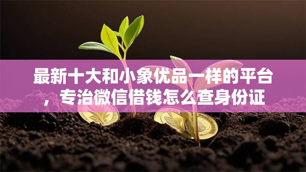 最新十大和小象优品一样的平台，专治微信借钱怎么查身份证