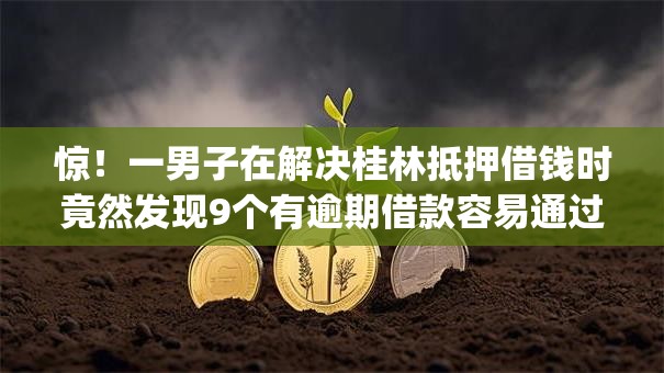 惊！一男子在解决桂林抵押借钱时竟然发现9个有逾期借款容易通过的app，事后分享了出来