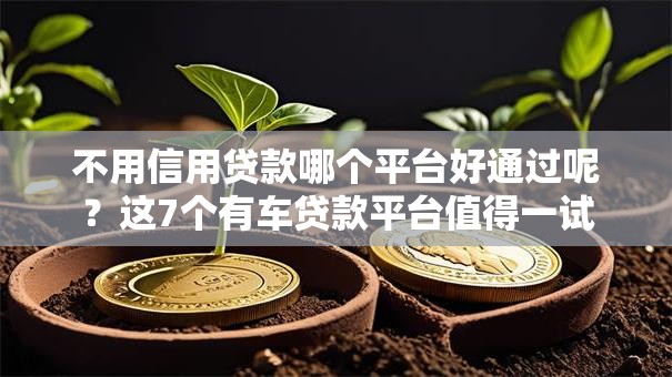 不用信用贷款哪个平台好通过呢?这7个有车贷款平台值得一试 不用信用贷款哪个平台好通过呢?这7个有车贷款平台值得一试