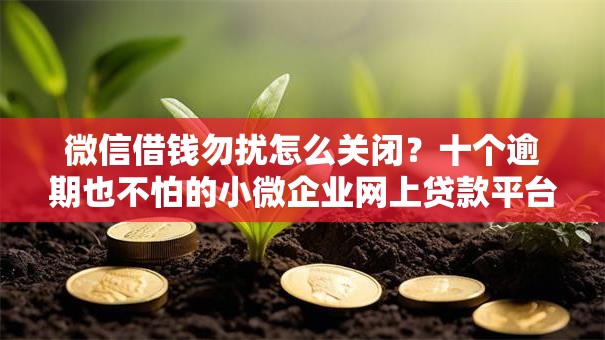 微信借钱勿扰怎么关闭?十个逾期也不怕的小微企业网上贷款平台 微信借钱勿扰怎么关闭?十个逾期也不怕的小微企业网上贷款平台