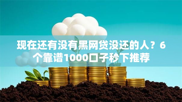 现在还有没有黑网贷没还的人？6个靠谱1000口子秒下推荐