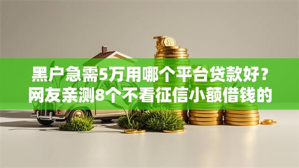黑户急需5万用哪个平台贷款好？网友亲测8个不看征信小额借钱的平台盘点