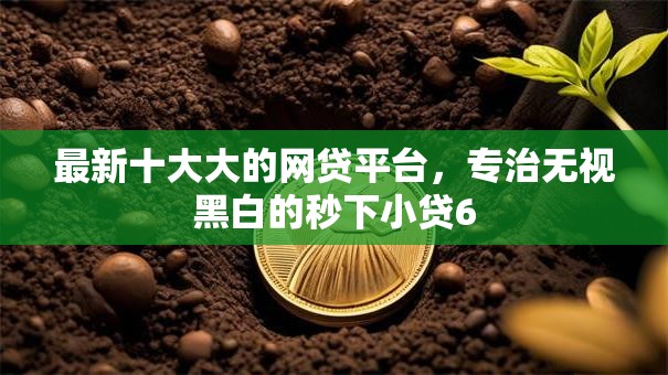 最新十大大的网贷平台，专治无视黑白的秒下小贷6