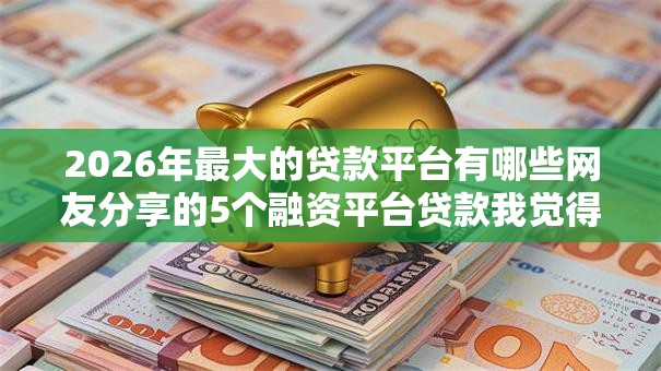 2026年最大的贷款平台有哪些网友分享的5个融资平台贷款我觉得不错！
