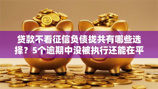 贷款不看征信负债拢共有哪些选择？5个逾期中没被执行还能在平台借钱详解