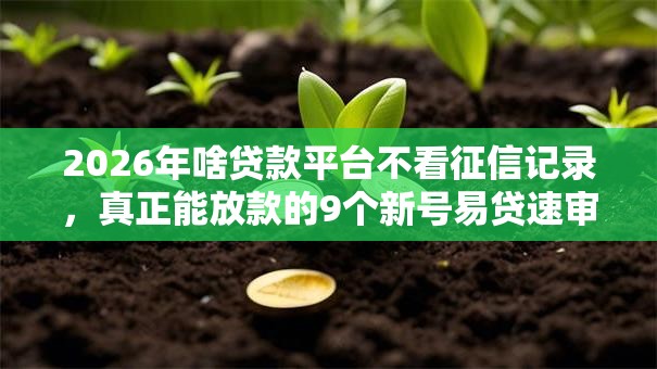 2026年啥贷款平台不看征信记录，真正能放款的9个新号易贷速审秒下款软件推荐
