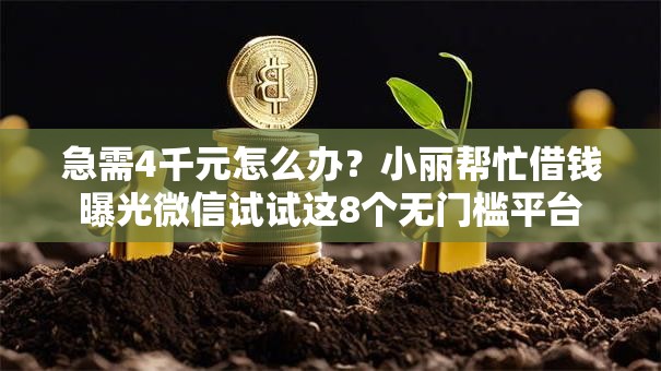 急需4千元怎么办？小丽帮忙借钱曝光微信试试这8个无门槛平台