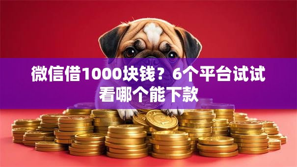 微信借1000块钱？6个平台试试看哪个能下款