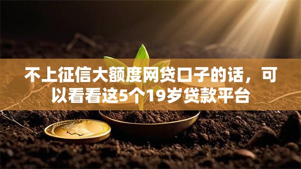 不上征信大额度网贷口子的话，可以看看这5个19岁贷款平台