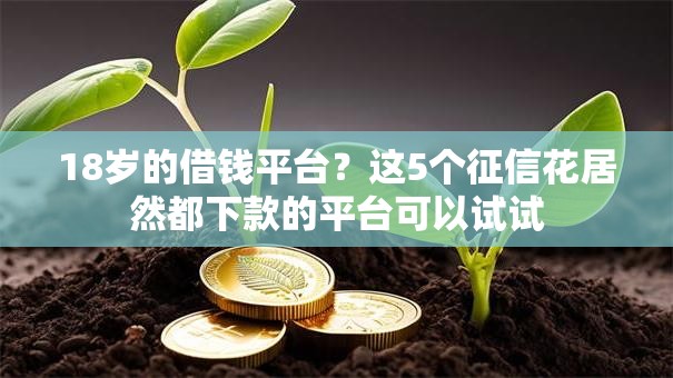18岁的借钱平台？这5个征信花居然都下款的平台可以试试