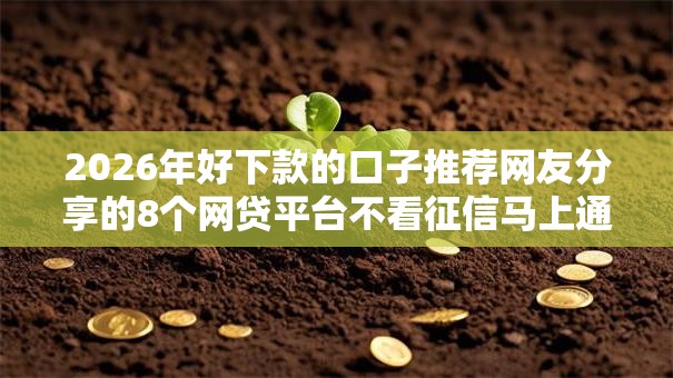 2026年好下款的口子推荐网友分享的8个网贷平台不看征信马上通过的我觉得不错！
