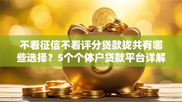 不看征信不看评分贷款拢共有哪些选择？5个个体户贷款平台详解